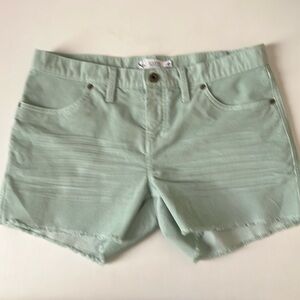 Carve Designs Oahu Shorts 4” Seafoam Green size 6
